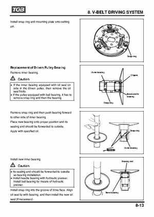TGB Blade 250 ATV Quad Service Repair Manual, Page 100