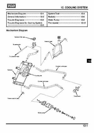TGB Blade 250 ATV Quad Service Repair Manual, Page 132