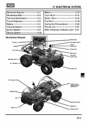 TGB Blade 250 ATV Quad Service Repair Manual, Page 194