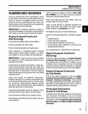 2007 Evinrude E-Tec 75, 90 HP outboards Service Manual, Page 83