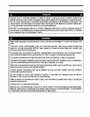 2007 Johnson 2 HP 4-Stroke Service Manual, Page 3